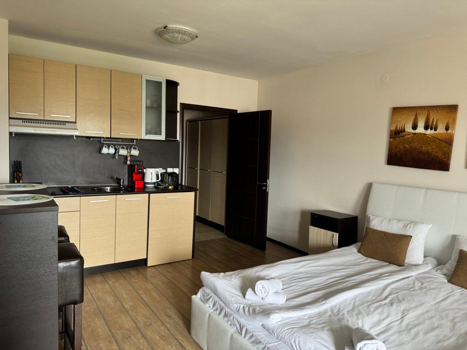 Alpine Lodge Bansko Apartments Esterno foto