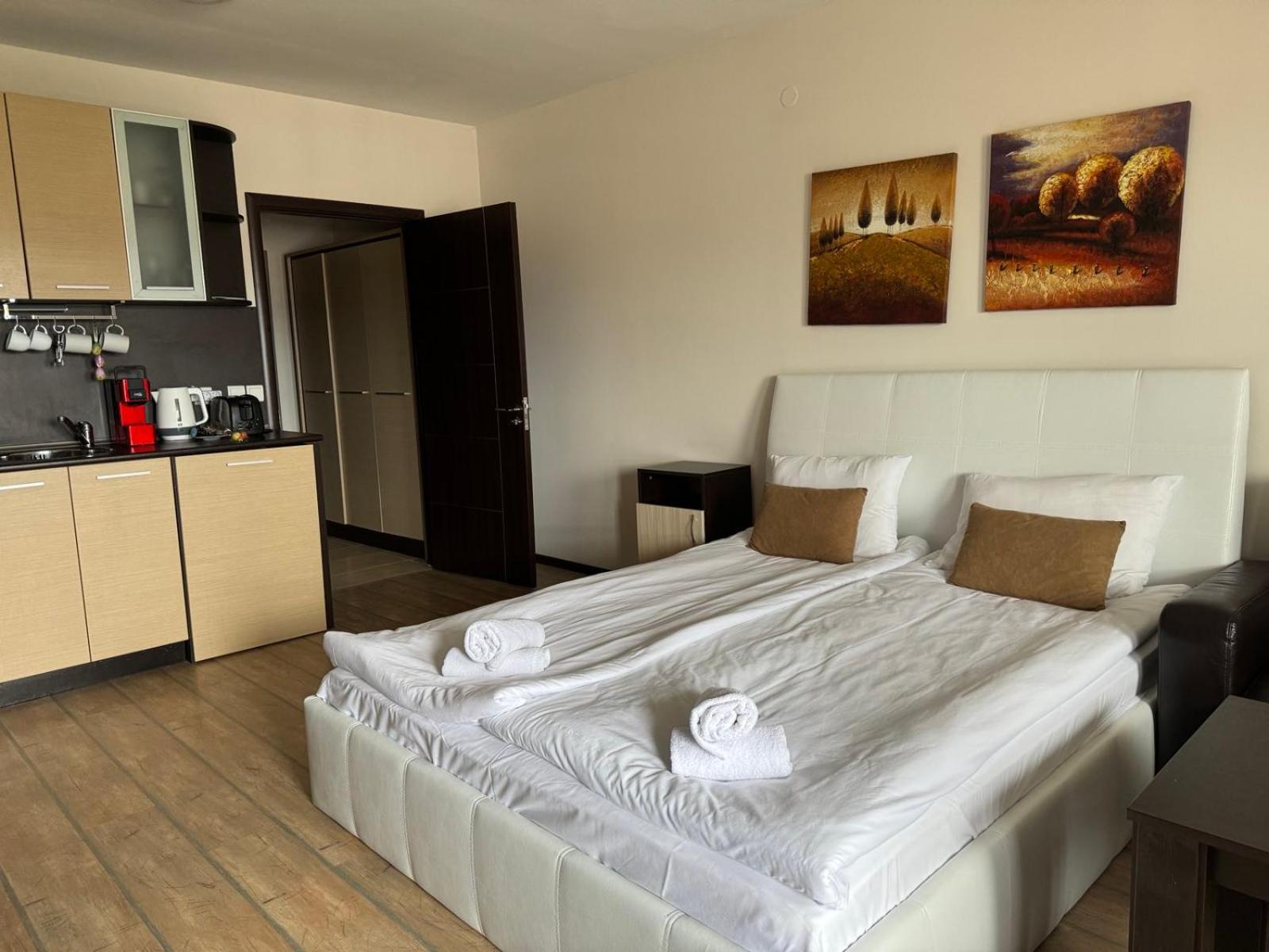 Alpine Lodge Bansko Apartments Esterno foto
