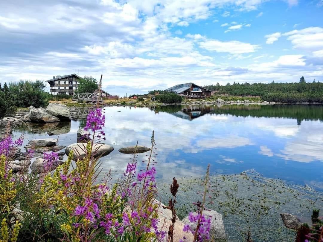 Alpine Lodge Bansko Apartments Esterno foto